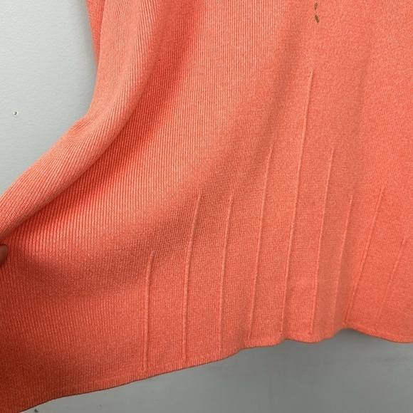 Christopher & Banks Hand Embroidered Short Sleeve Sweater Top Sz XL - Picture 6 of 12